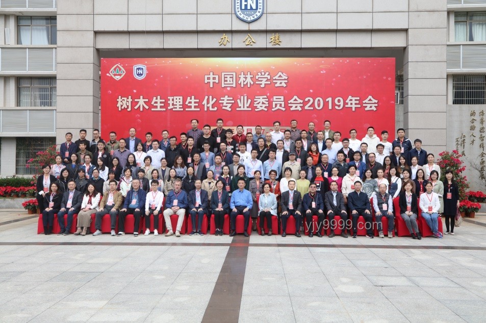 北大教授揭示全国树木家底：1426亿棵的生态洞察